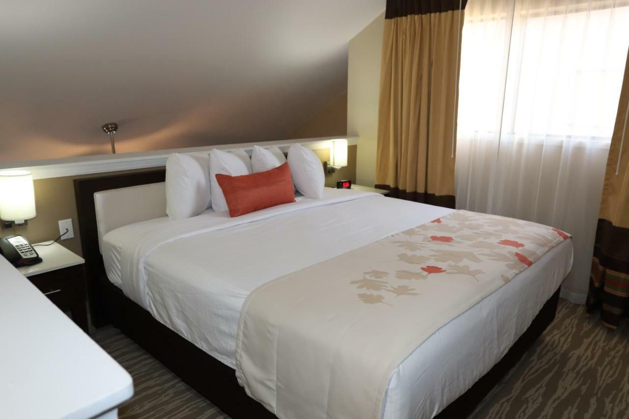 Hawthorn Suites By Wyndham Detroit Southfield Zewnętrze zdjęcie